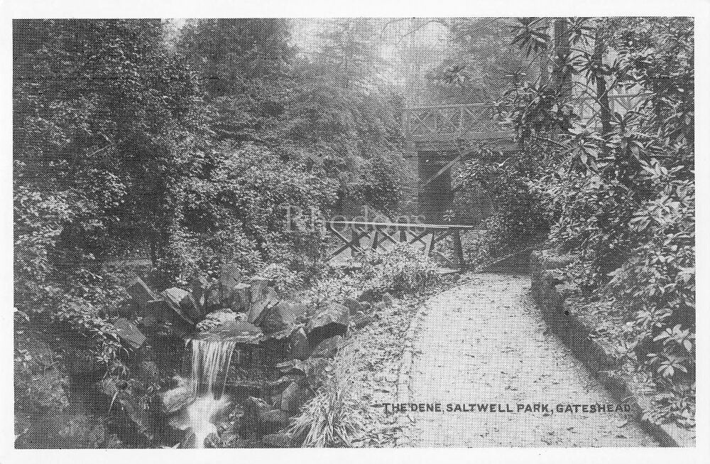 County Durham Postcard - The Dene, Saltwell Park Gateshead-Circa 1900 Reproduction Postcard