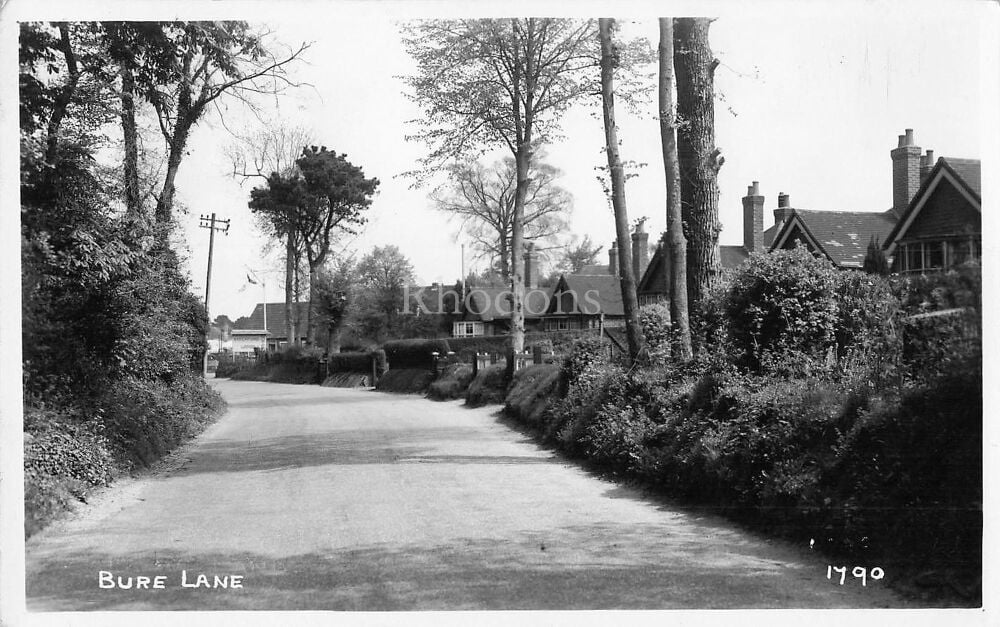 Bure Lane, Christchurch, Hampshire-Circa 1950s Street View Real Photo Postc