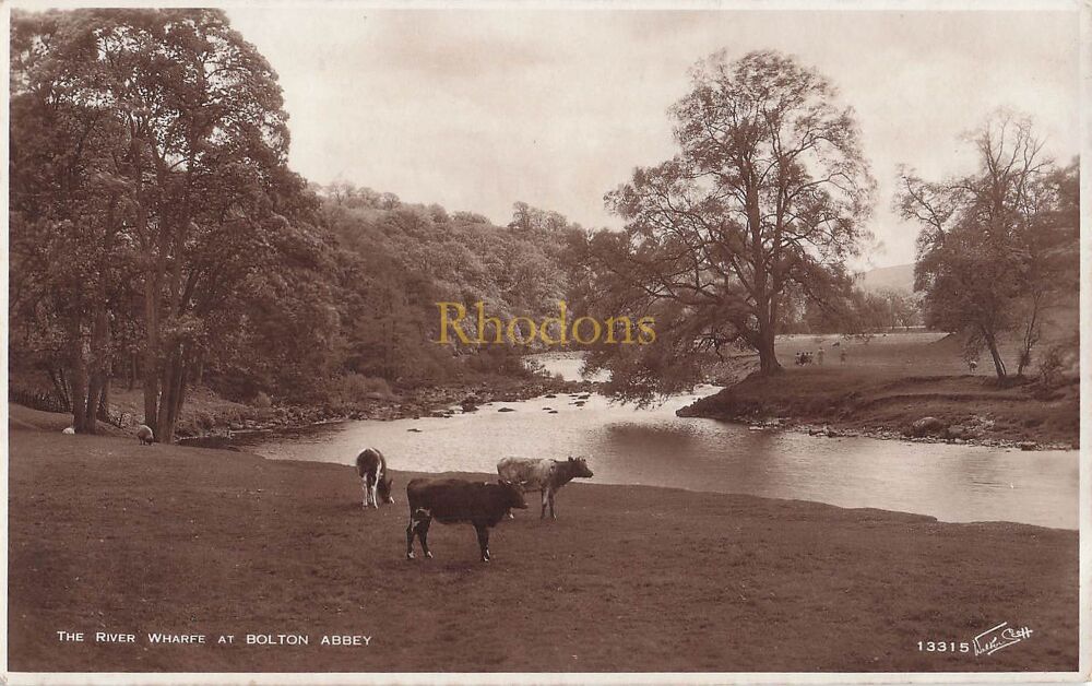 The River Wharfe at Bolton Abbey, Yorkshire Dales-Walter Scott Real Photo Postcard