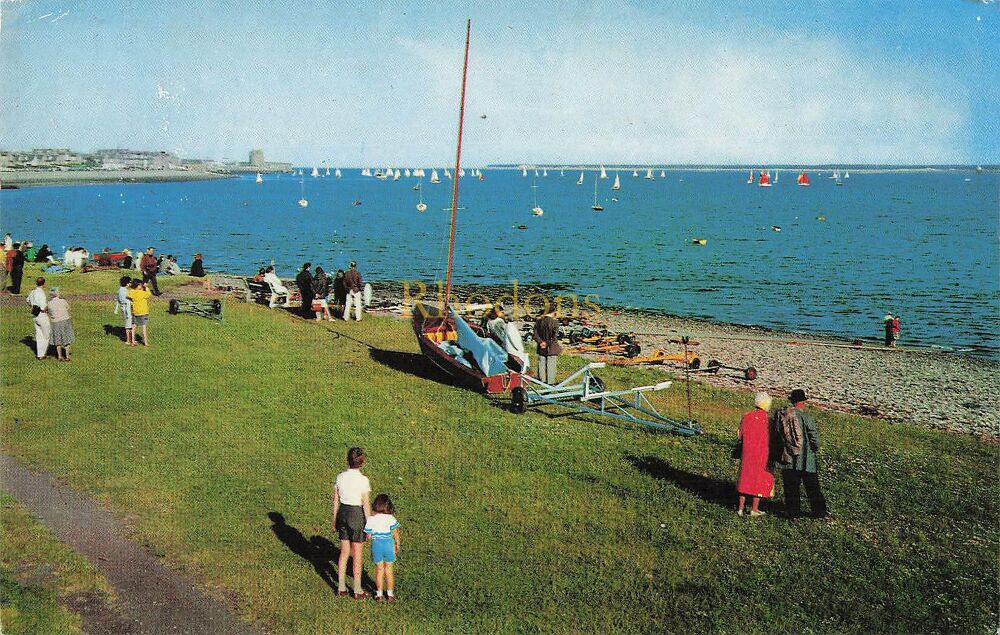 Scotland-Yachting On The Firth of Tay At West Ferry-1970s Photo Postcard