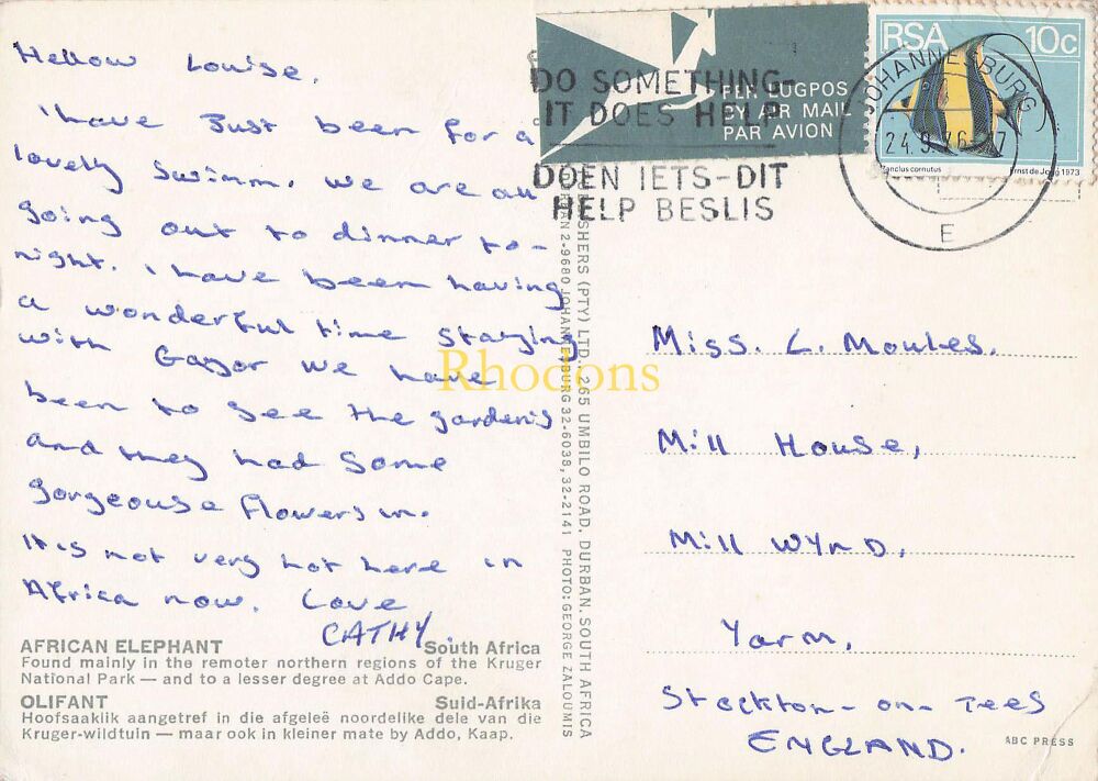 South Africa - African Elephants - 1970s Photo Postcard