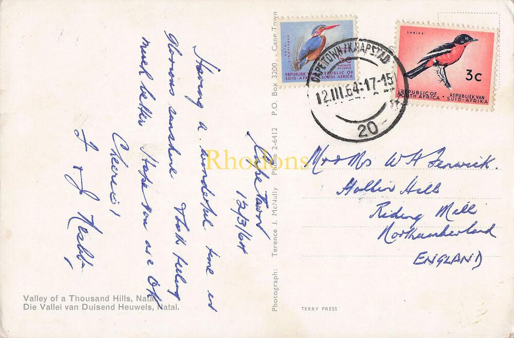 South Africa Postcard - Valley of a Thousand Hills, Natal - 1960s Photo Postcard