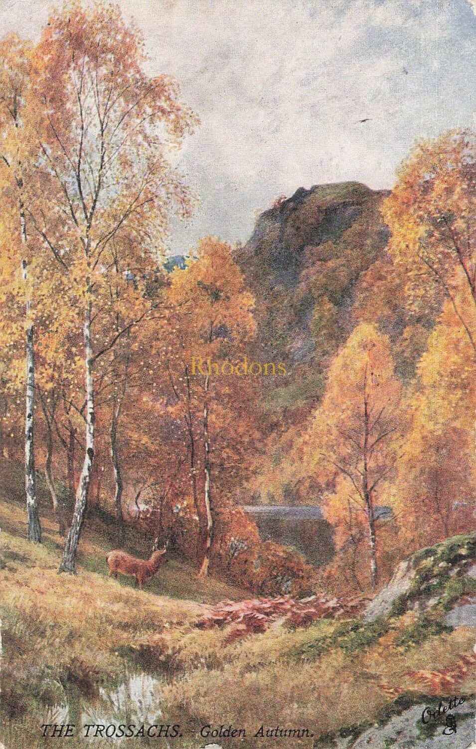 Scotland Postcard - The Trossachs - Tucks Oilette Postcard #7350