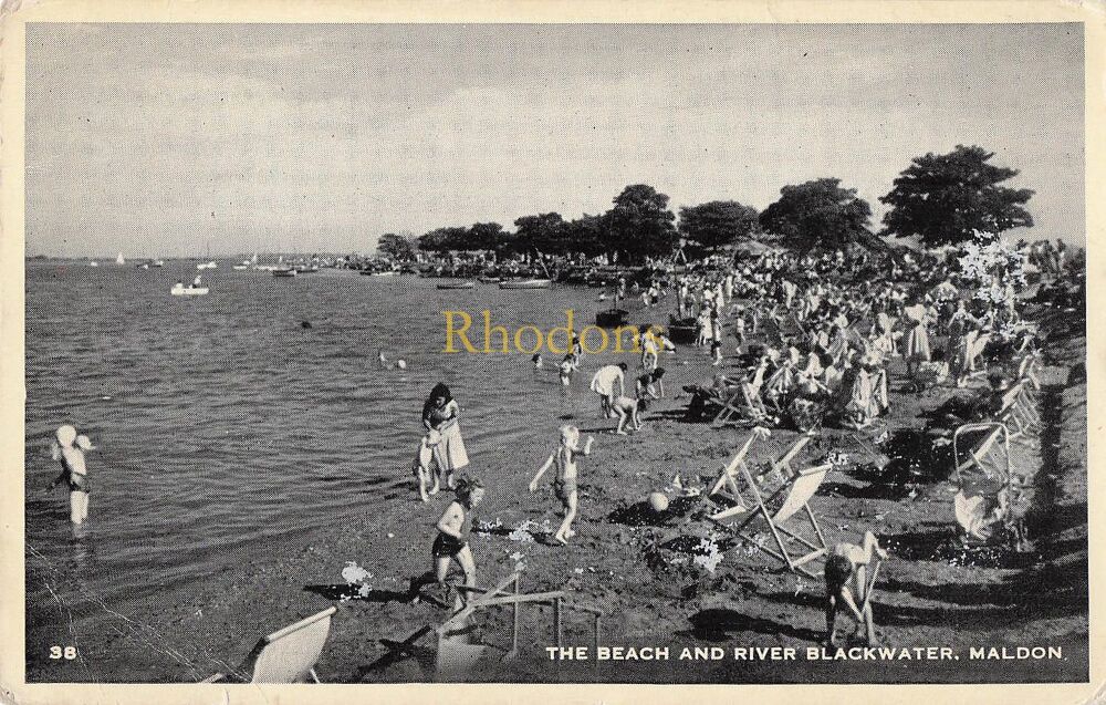 Essex Postcard-Maldon, The Beach and River Blackwater-Circa 1950s Photo View