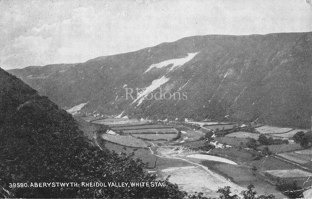 Wales Postcard-Aberystwyth-Rheidol Valley, Whitestag-Early 1900s | Mr E RUDLAND. Bourne Street, Eastbourne, 1922