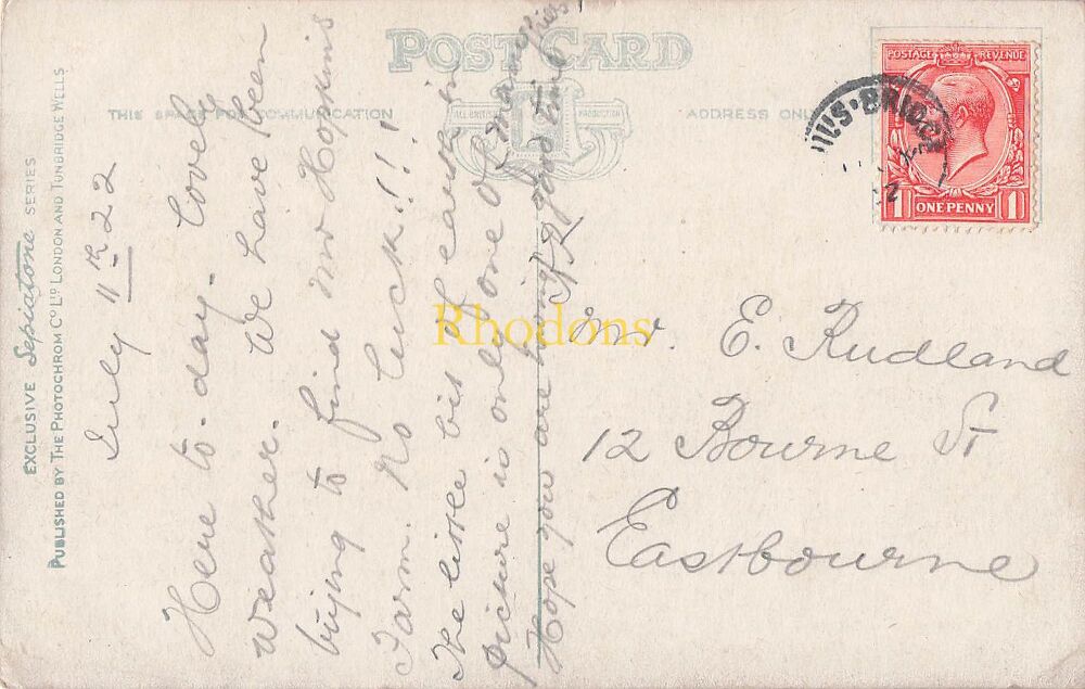 Wales Postcard-Aberystwyth-Rheidol Valley, Whitestag-Early 1900s | Mr E RUDLAND. Bourne Street, Eastbourne, 1922