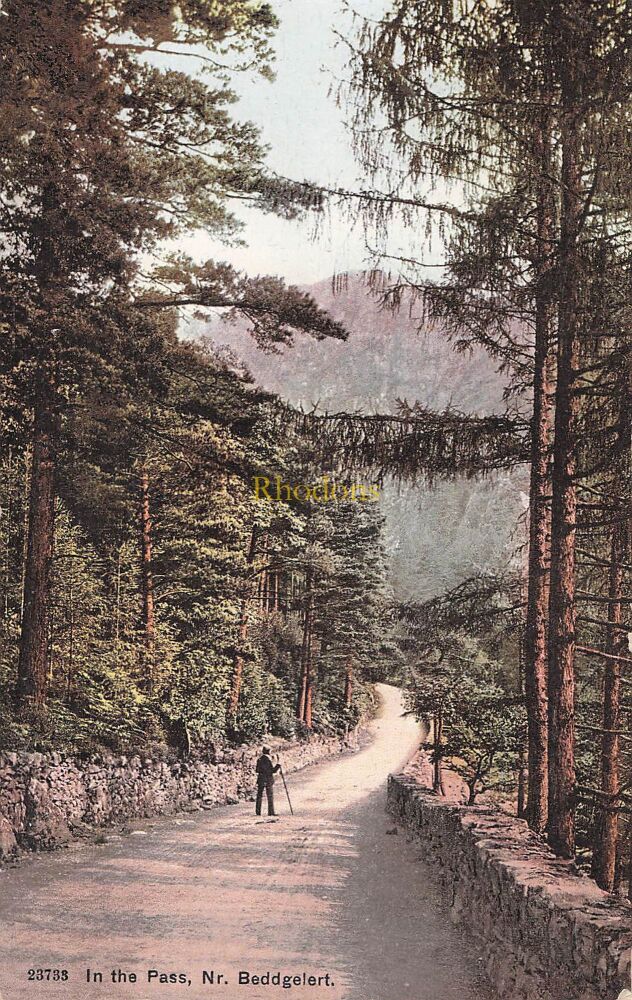 Wales Postcard-In The Pass Near Beddgelert-Early 1900s Colour Photochrom View - #13-1