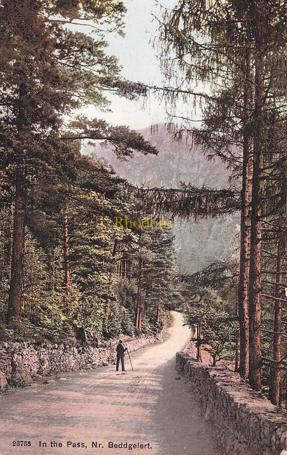 Wales Postcard-In The Pass Near Beddgelert-Early 1900s Colour Photochrom Vi