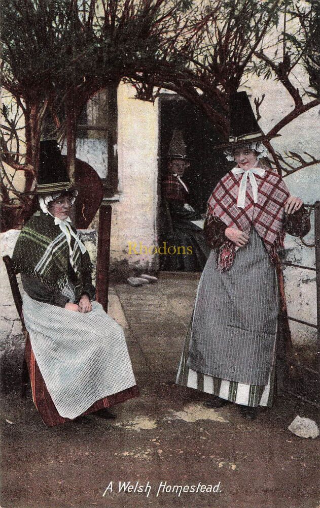 Wales Postcard-A Welsh Homestead-Women In National Costume-Early 1900s