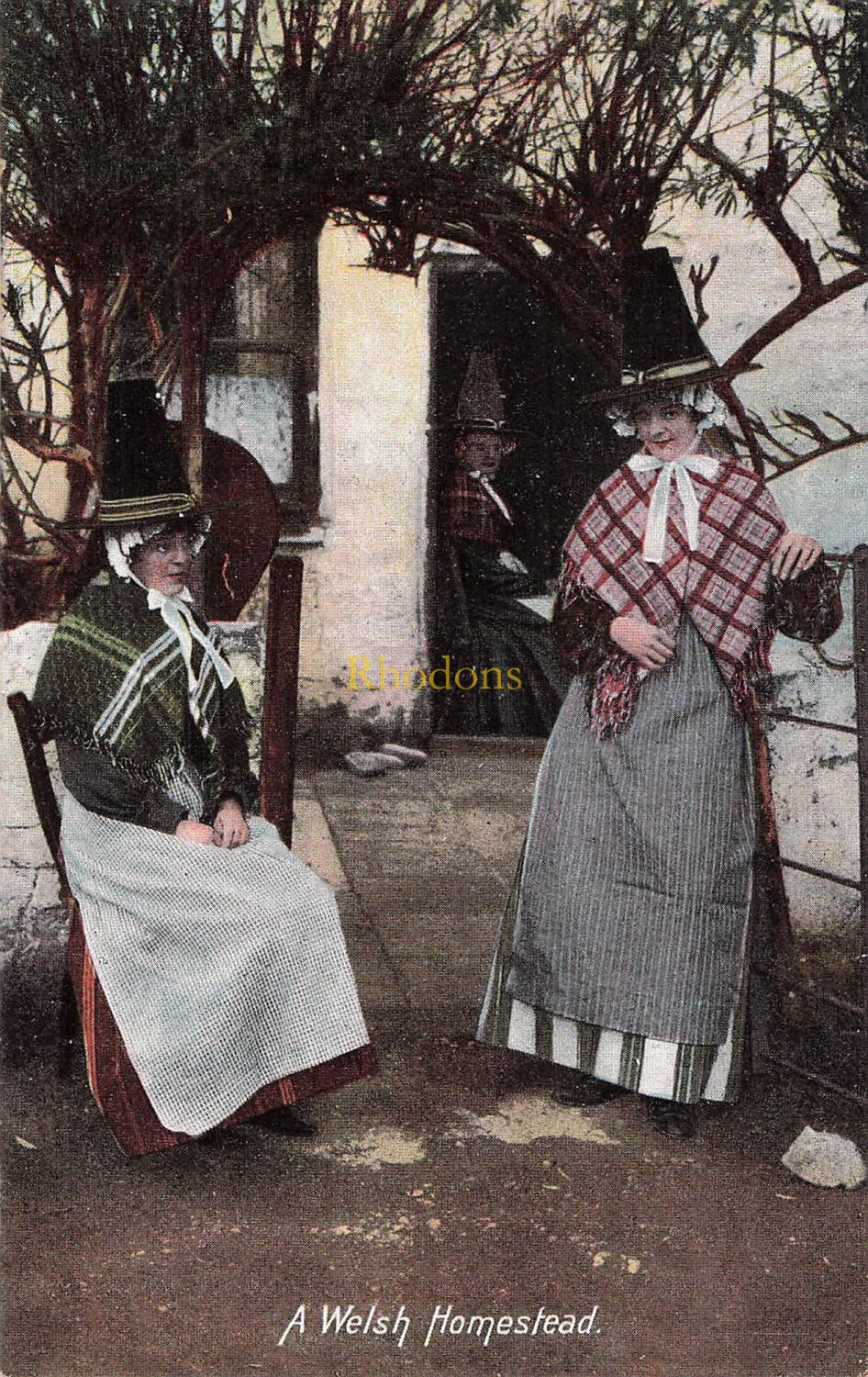 Wales Postcard-A Welsh Homestead-Women In National Costume-Early 1900s