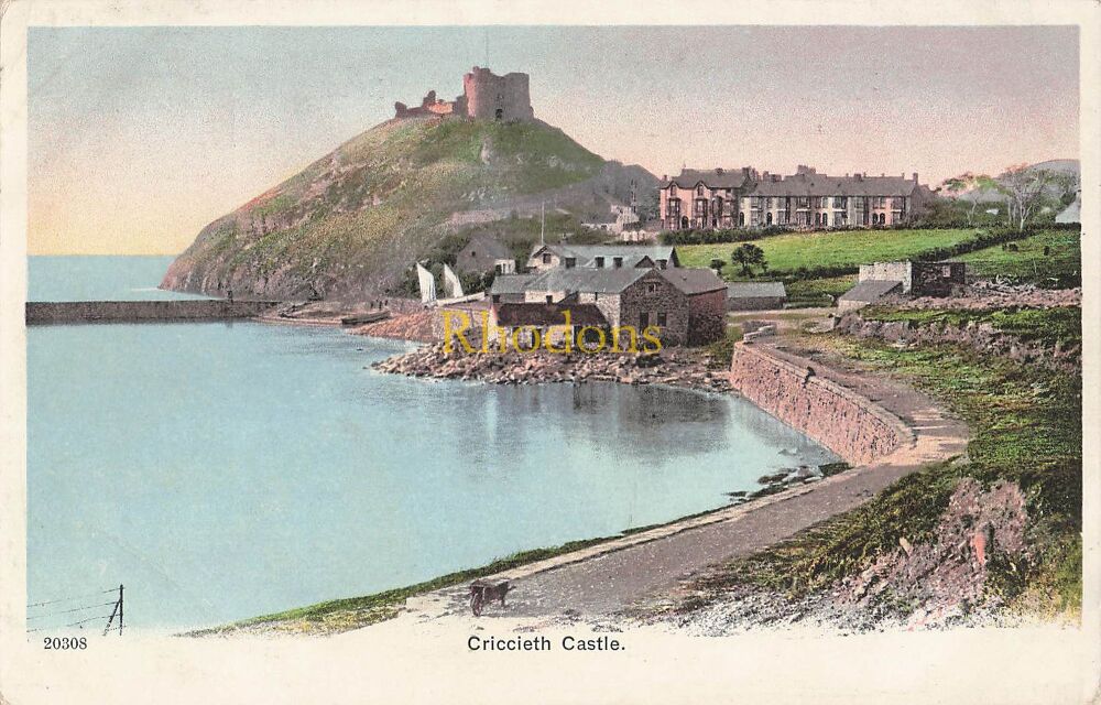 Wales Postcard-Criccieth Castle-Early 1900s