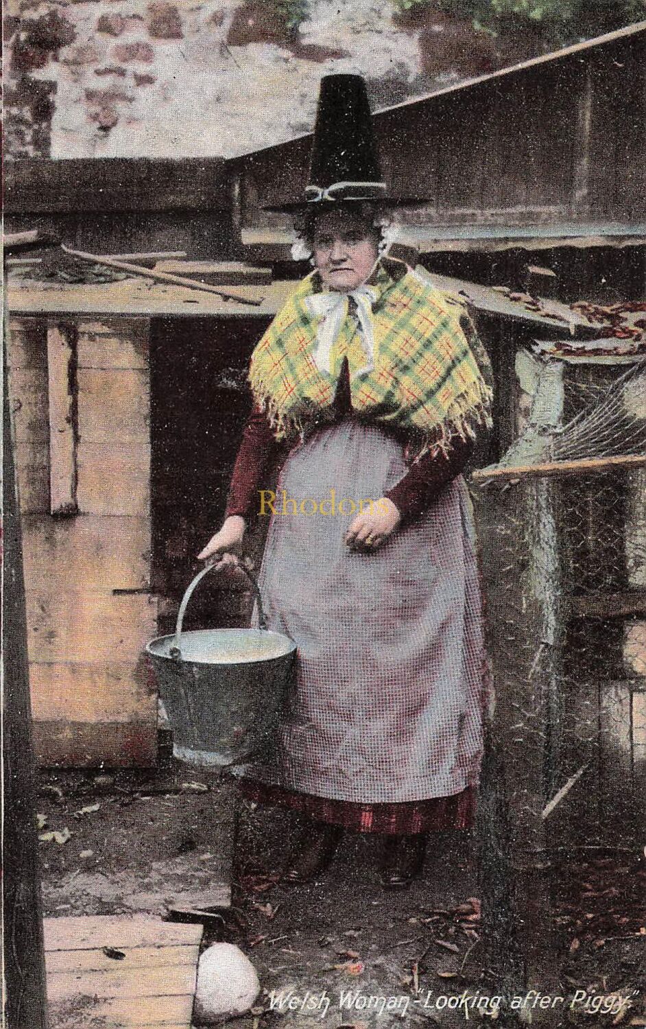 Wales Postcard-Welsh Woman Looking After Piggy-National Costume-Early 1900s
