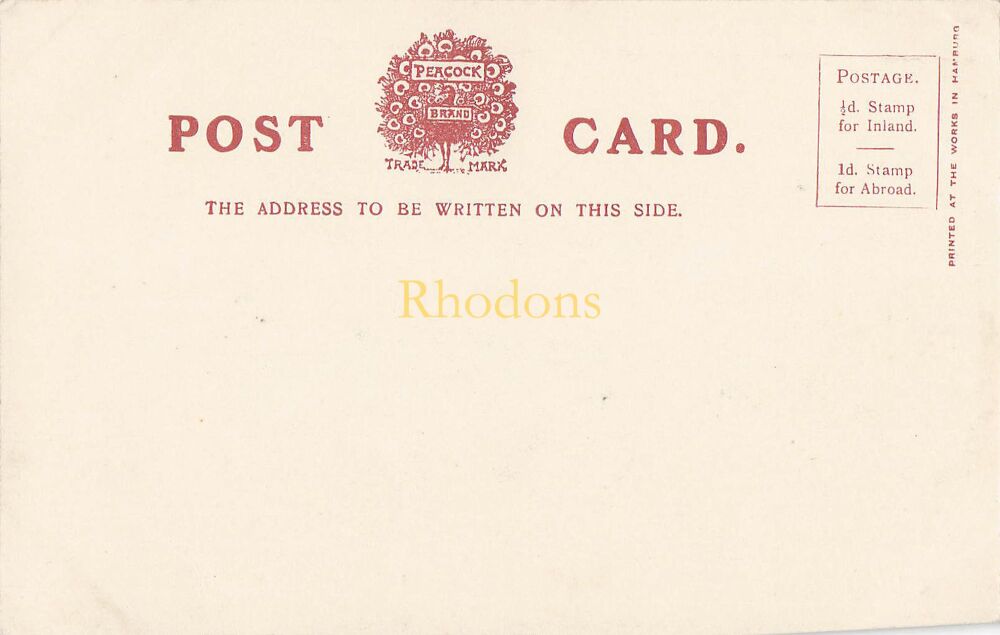 Devon Postcard-Illfracombe, Lantern Hill and Hillsboro-Early 1900s UDB-Peacock Brand