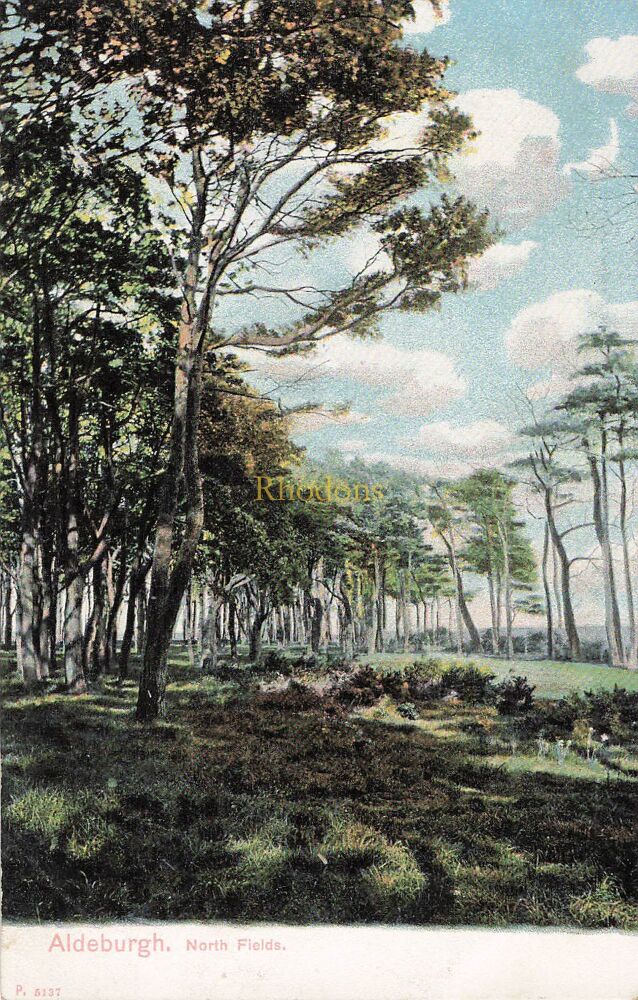 Suffolk Postcard-Aldeburgh, South Fields-Early 1900s Peacock Brand