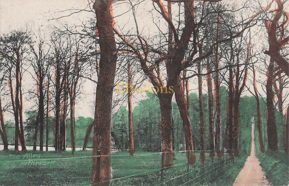 Norfolk Postcard-The Alley, Hethersett-Early 1900s-Norwich Publisher