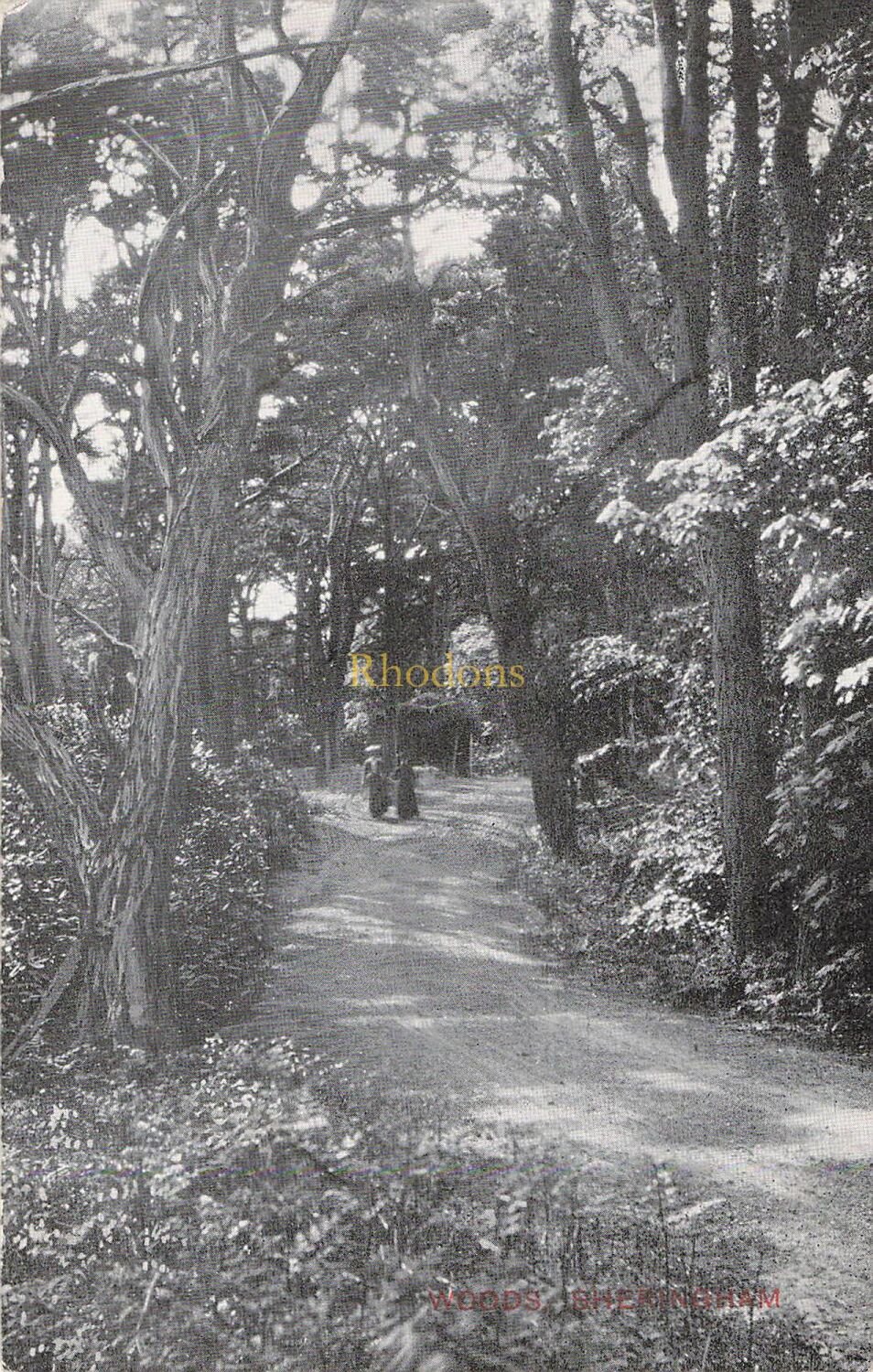 Norfolk Postcard-Sheringham Woods-Edwardian Era-Jarrolds Series
