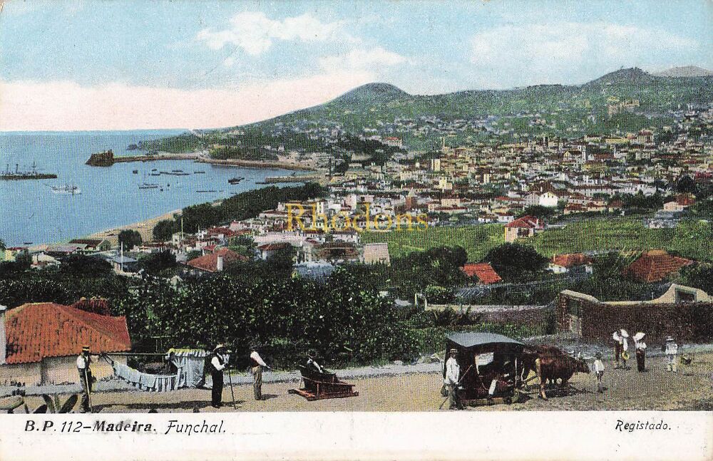 Portugal-Azores Postcards-Madeira, Funchal-Early 1900s Panoramic View