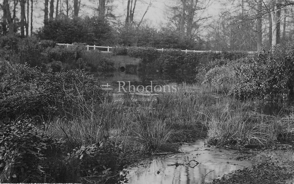 Riverside View Postcard-Unknown, Unidentified Location-Possibly Norfolk UK-Early 1900s