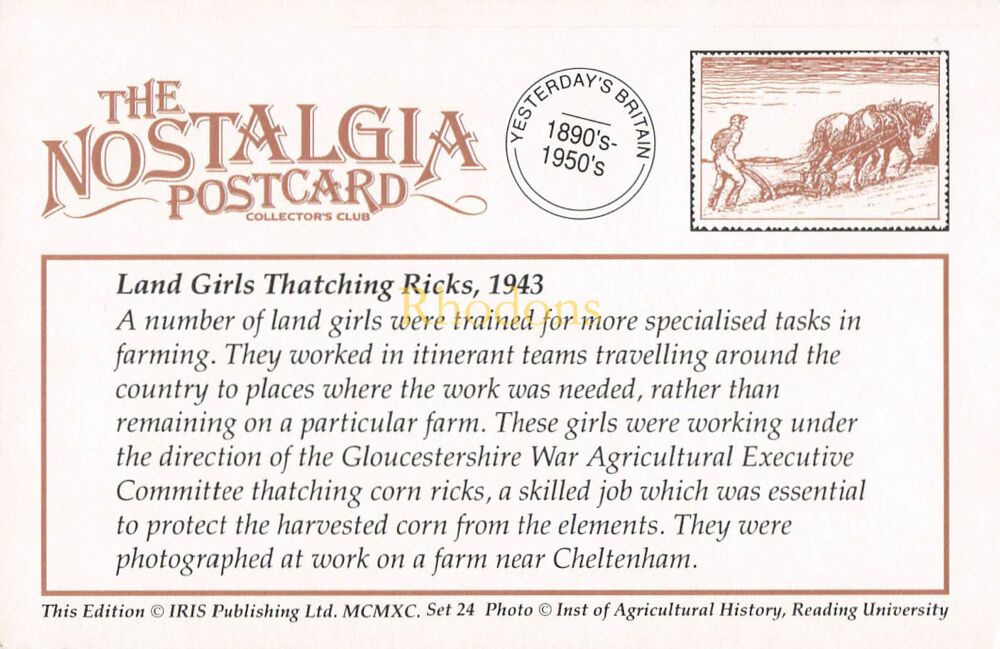 Social History-Land Girls Thatching Corn Ricks Near Cheltenham, 1943-From The Nostalgia Postcard Collectors Club 1990 Set #24