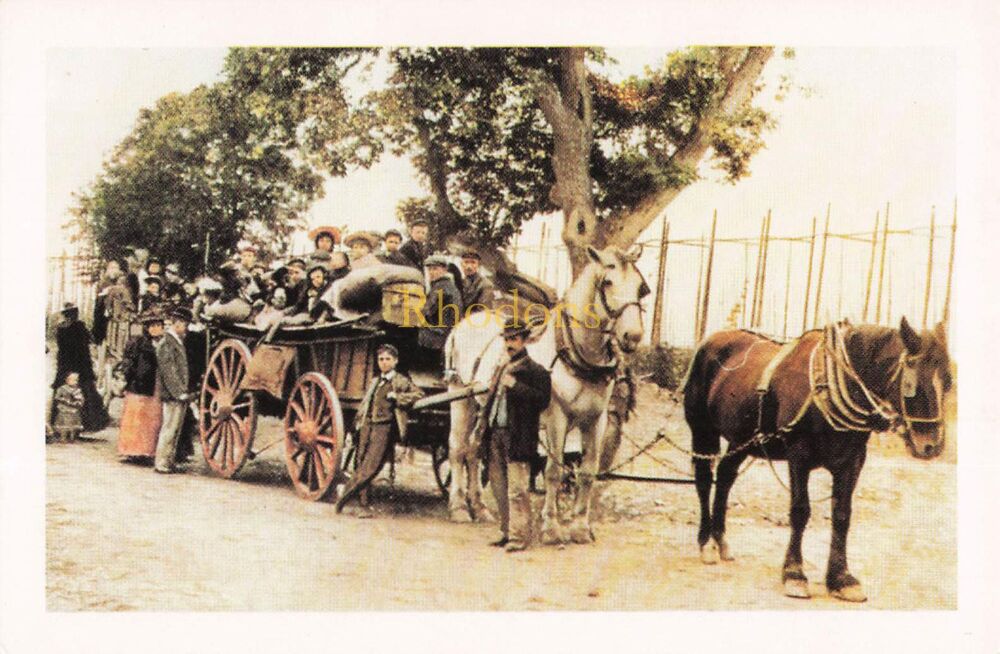 Social History-Hop Workers, 1903-From The Nostalgia Postcard Collectors Club 1992 Set #43