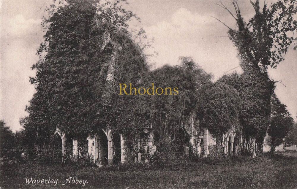Surrey Postcard-Waverley Abbey, Farnham-Overgrown-Early 1900s Friths View