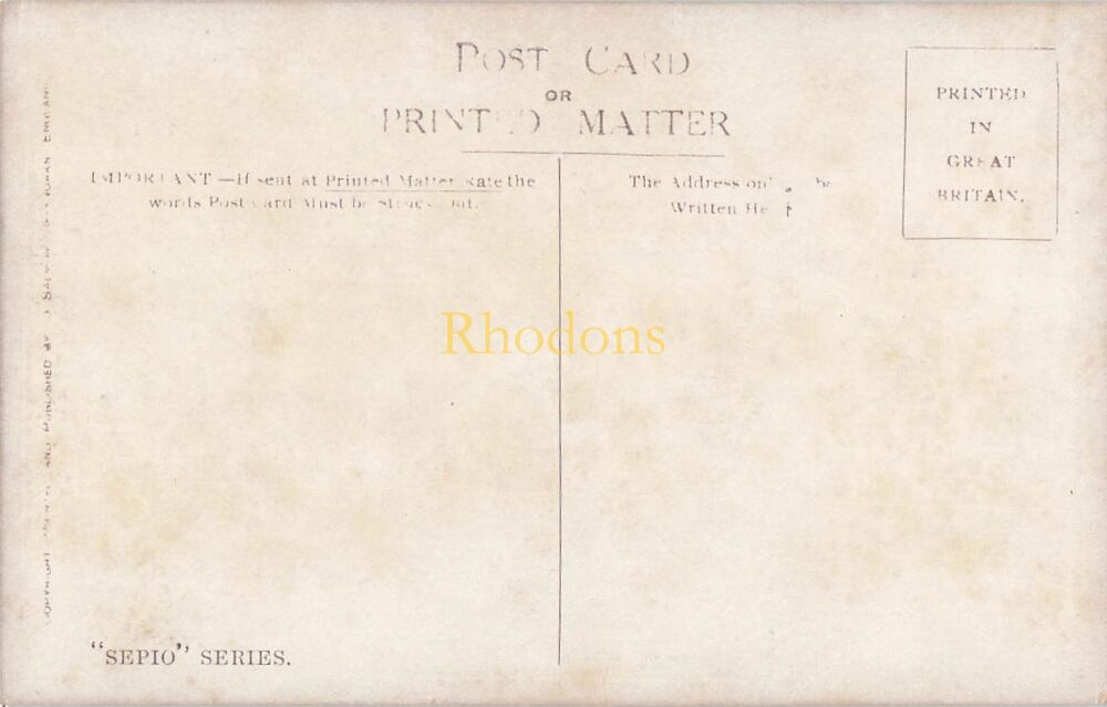 Cheshire Postcard-Chester Multiview-Early 1900s J Salmon 'Sepio' Series