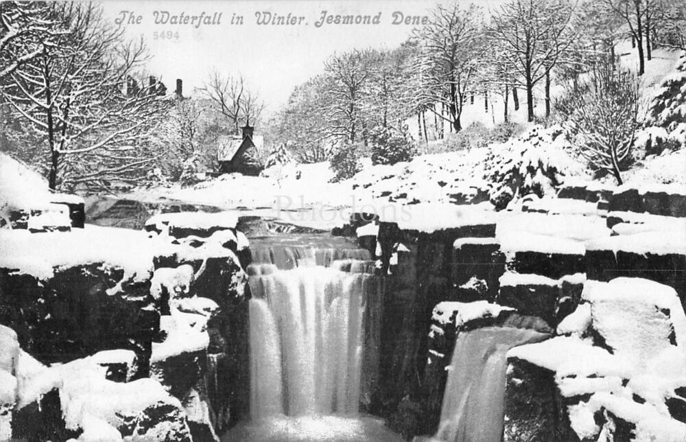 Newcastle Postcard-The Waterfall In Winter, Jesmond Dene, Newcastle on Tyne-Early 1900s