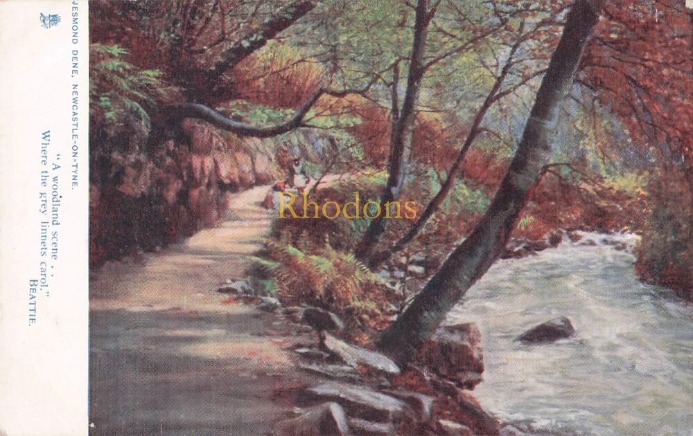 Newcastle Postcard-Jesmond Dene, Newcastle on Tyne-Early 1900s Tucks Oilette No 6184