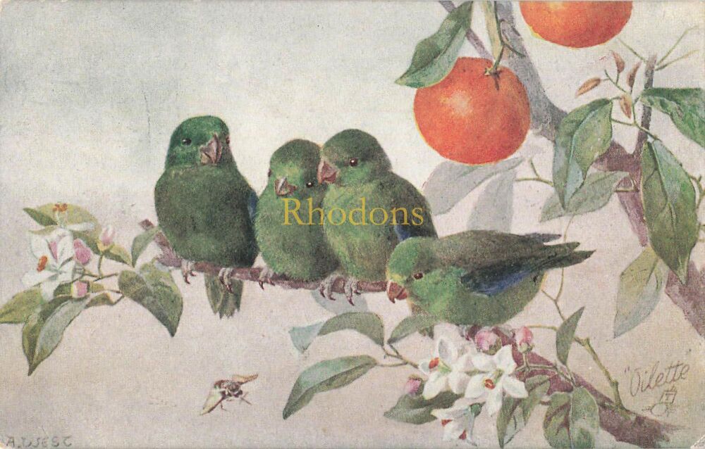 Raphael Tuck & Sons Oilette Postcard-Birds and Blossoms Series No 8875-Early 1900s Vintage
