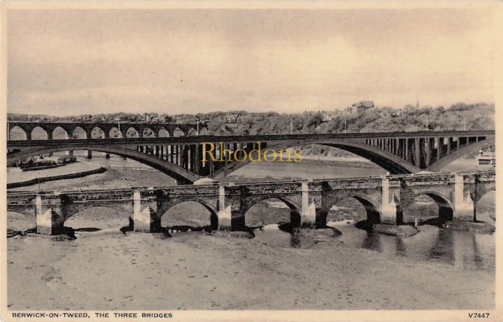Scotland Postcard-Berwick on Tweed-The Three Bridges-Photochrom Series