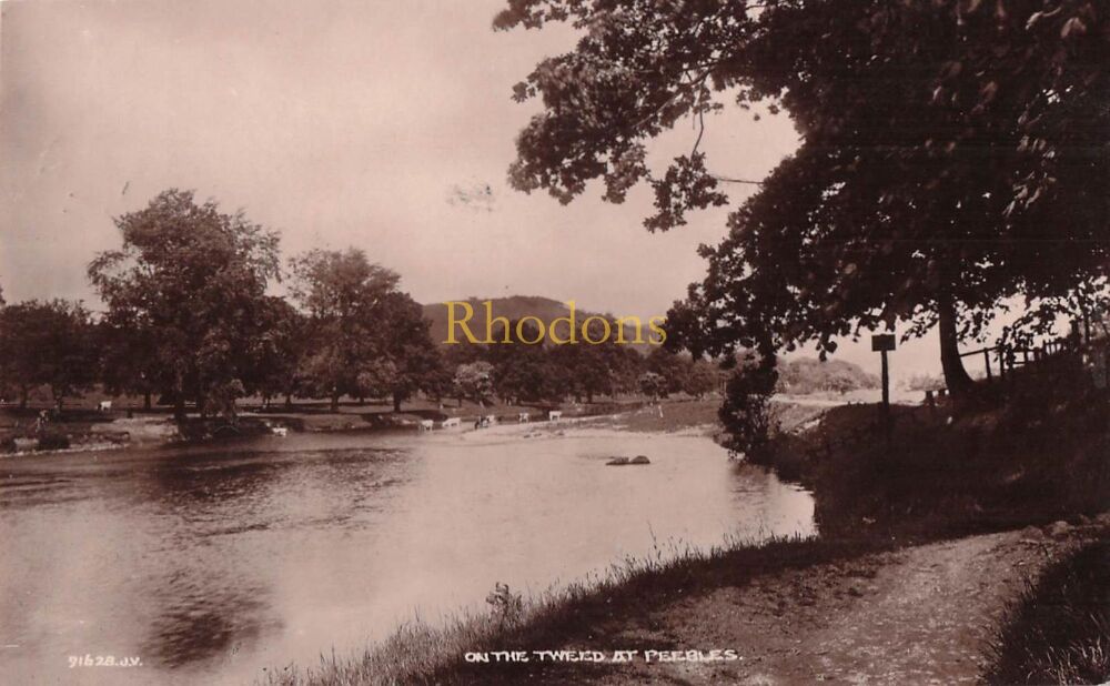 Scotland Postcard-On The Tweed At Peebles-Valentines RPPC Sold by Donal Clark & Son Peebles