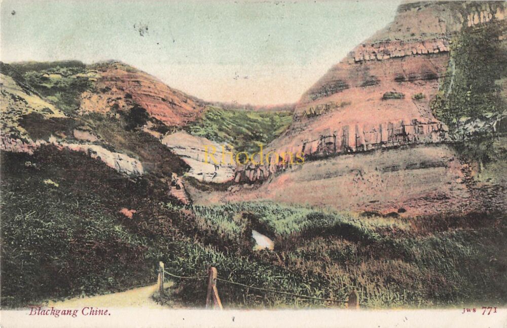 Isle of Wight Postcard-Blackgang Chine IOW-Genealogy / Family History Interest -Miss A GREEN / Mr G J KEDDIE, Southend on Sea 1905
