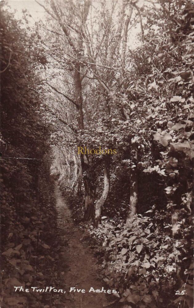 Sussex Postcard-The Twitton, Five Ashes, Sussex-Circa 1930s Wells Series Real Photo PC