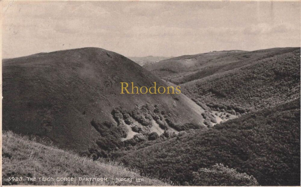 Devon Postcard-The Teign Gorge, Dartmoor-1930s Judges Photogravure PC