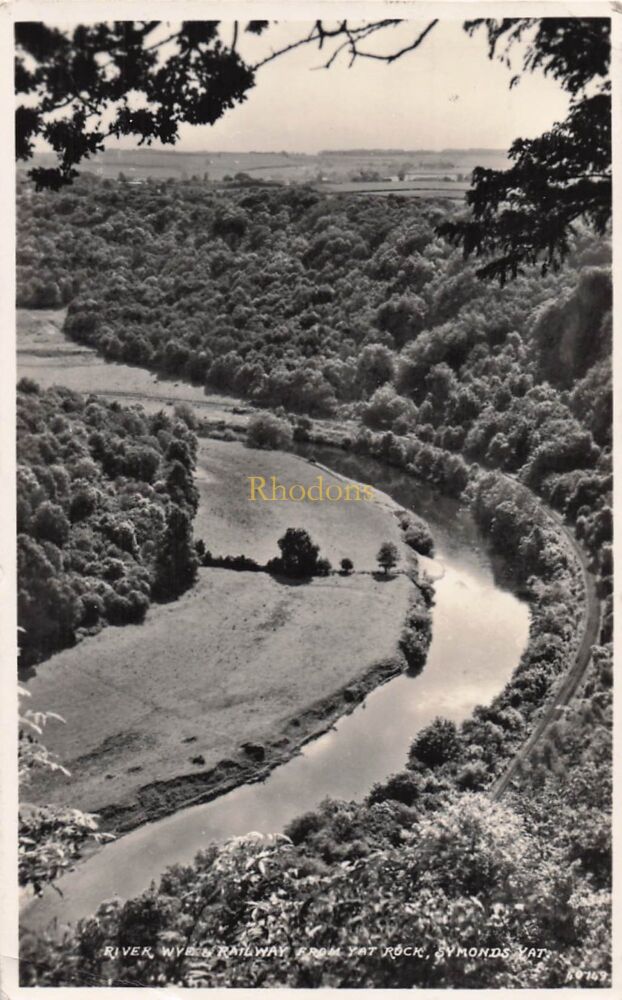 Herefordshire Postcard-River Wye Railway From Yat Rock, Symonds Yat-Harvey Barton RPPC