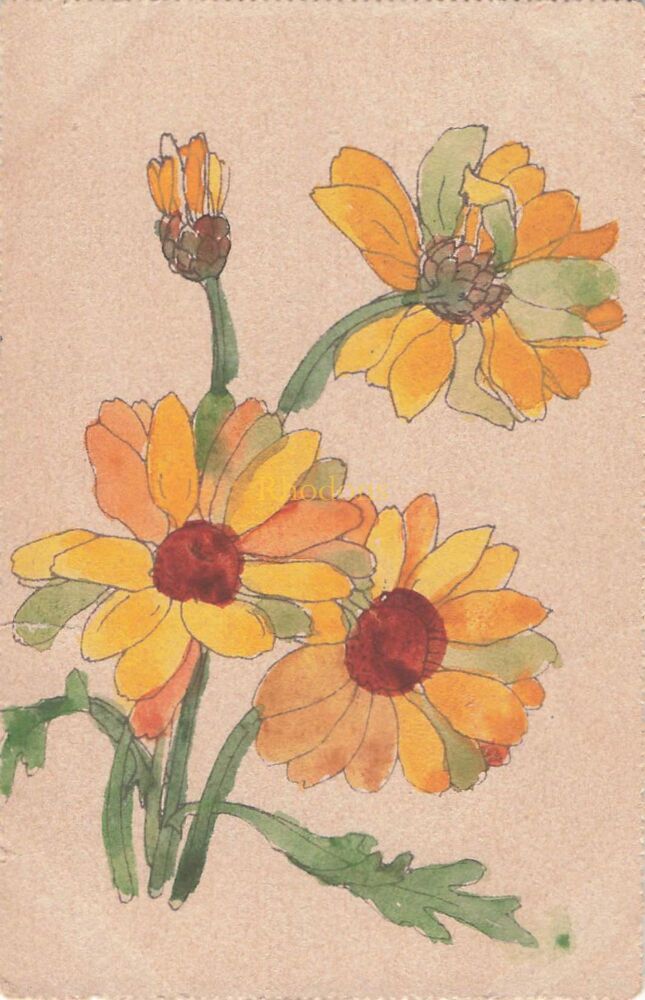 Genealogy Postcard-Miss WARD c/o Keddie & Sons Southend on Sea 1907 | Raphael Tuck Art Series