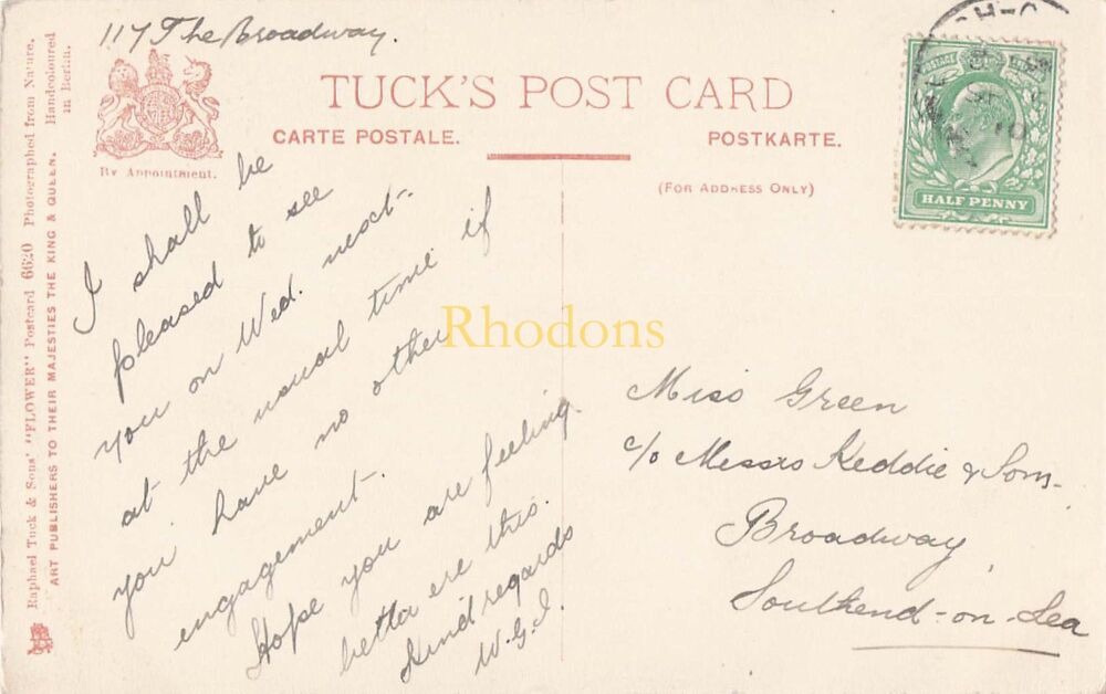 Raphel Tuck Postcard-Flowers Series No 6620-Chinese Sunflowers-Edwardian Tucks Colour Postcard | Miss GREEN c/o Keddie & Sons Southend-