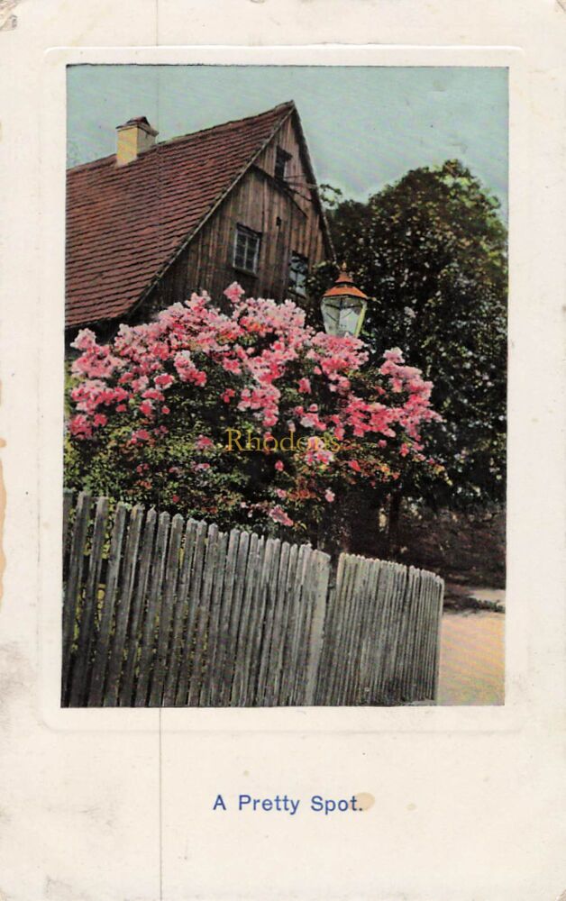 Genealogy Postcard-Miss Annie GREEN, High Street, Southend on Sea, Essex, March 1911