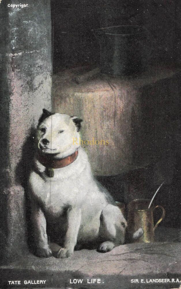 Genealogy Postcard-Miss Dorothy TAYLOR, Queen Road, Chelmsford, Essex | G D & D J Star Series Art PC