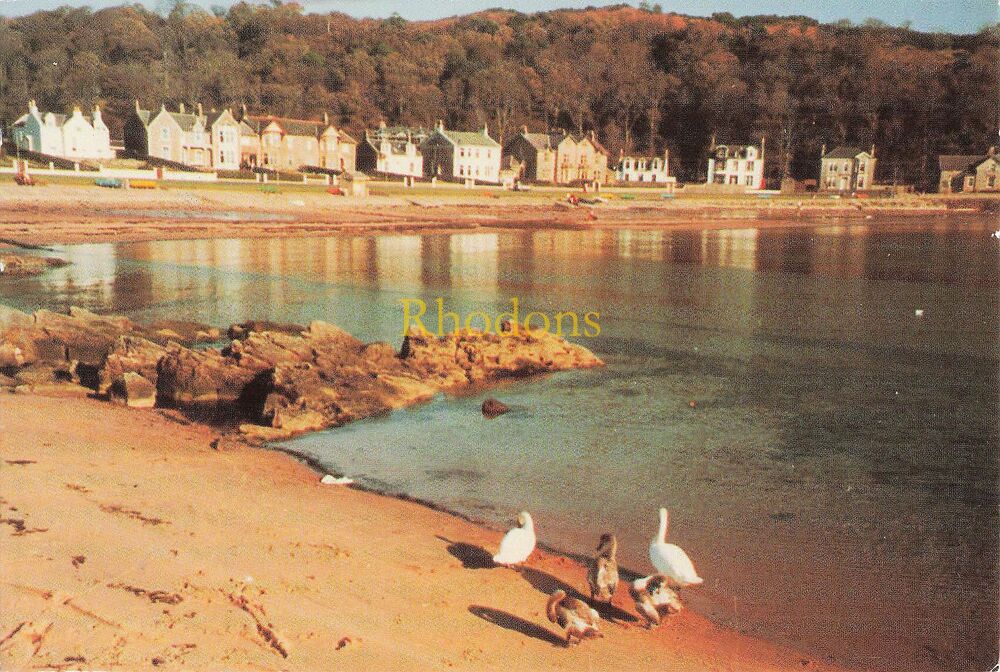 Scotland Postcard-Kames Bay, Millport, Isle Of Cumbrae, North Ayrshire-Colour Photo PC (Lot #1)