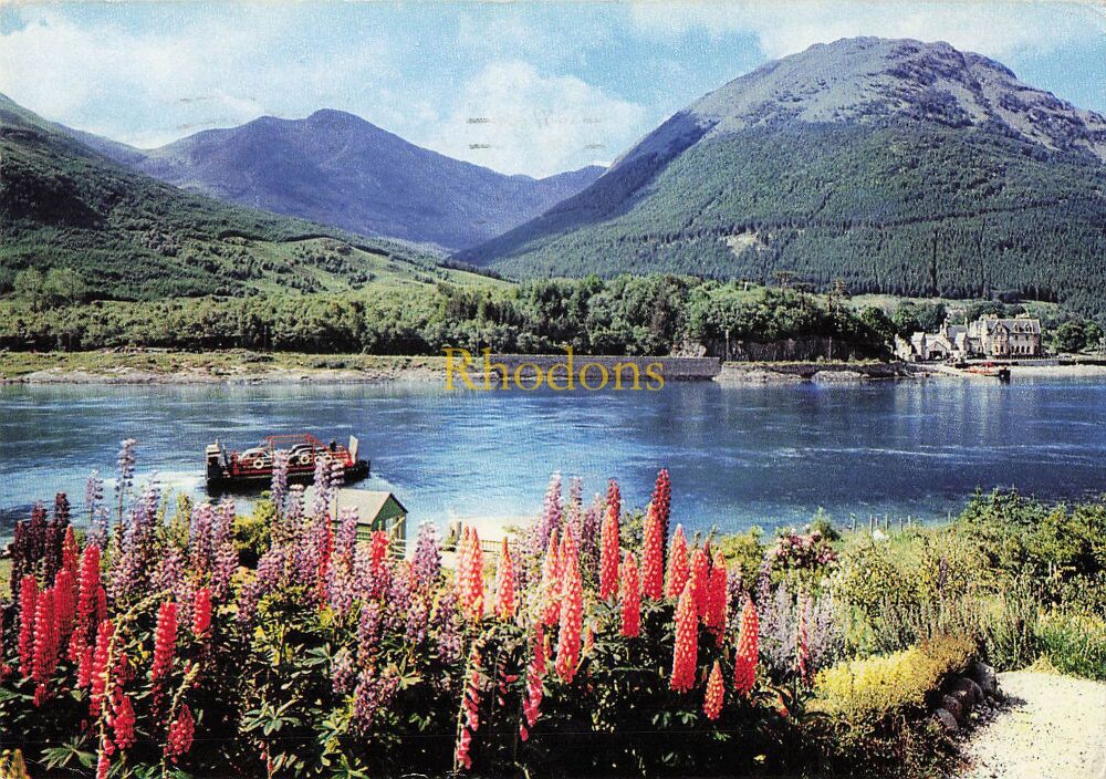 Scotland Postcard-Ballachulish Ferry, Highlands-Circa 1970s J Arthur Dixon PC