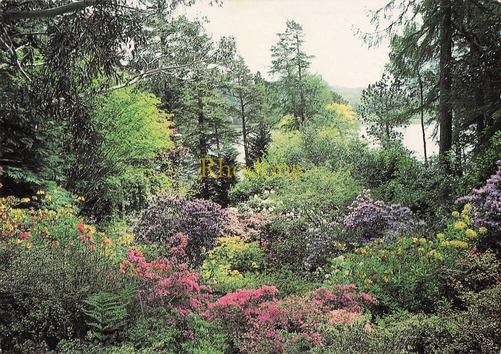 Scotland Postcard-Inverewe Garden, Wester Ross, Scottish Highlands-Circa 1990s Phil Banks Photography PC