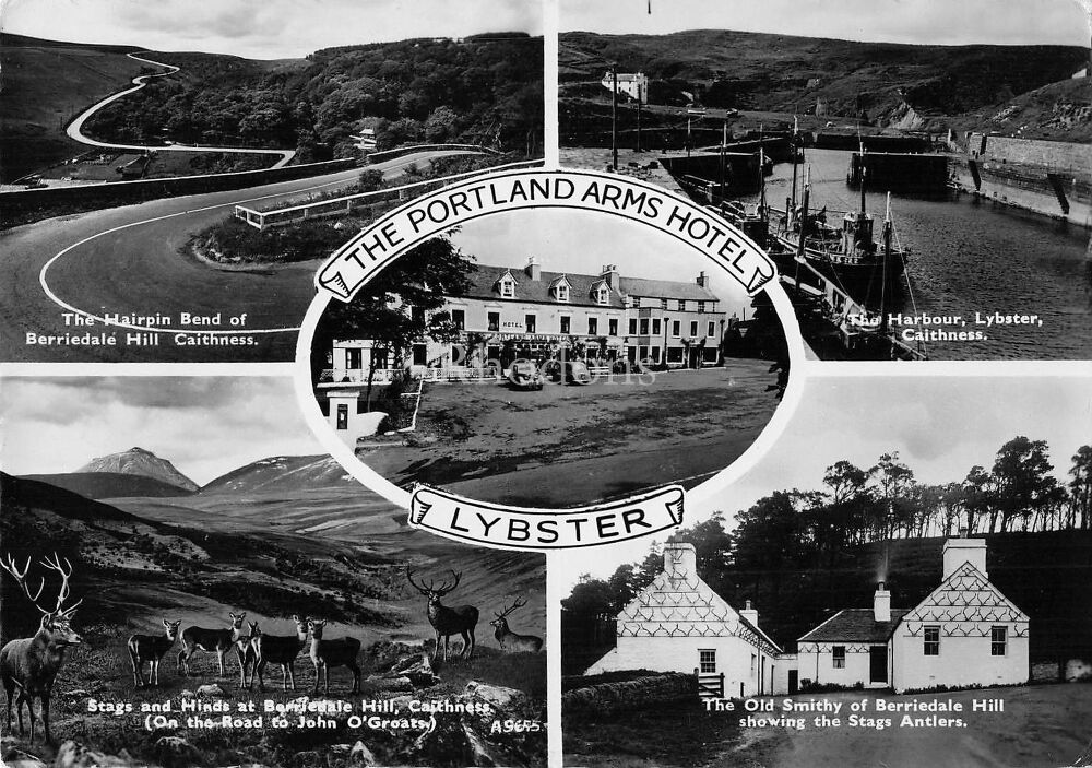 Scotland Postcard-The Portland Arms Hotel, Lybster-Circa 1960s Multiview RPPC