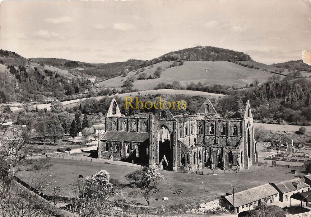 Wales Postcard-Tintern Abbey, Monmouthshire-Church View From Southeast-1960s RPPC