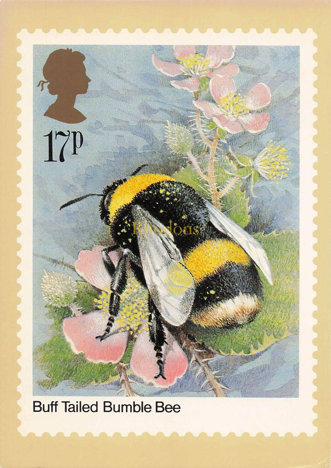 Post Office Picture Postcard-Insects, Buff Tailed Bumble Bee-17p Stamp-Seri
