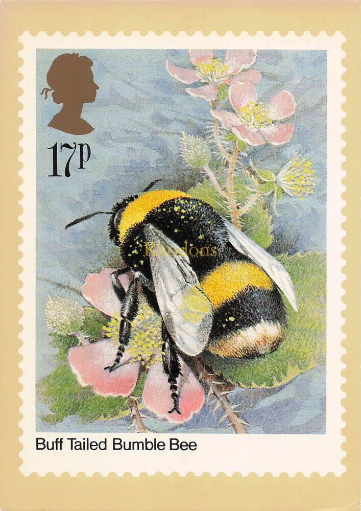 Post Office Picture Postcard-Insects, Buff Tailed Bumble Bee-17p Stamp-Series PMQ 82(a) 3/85