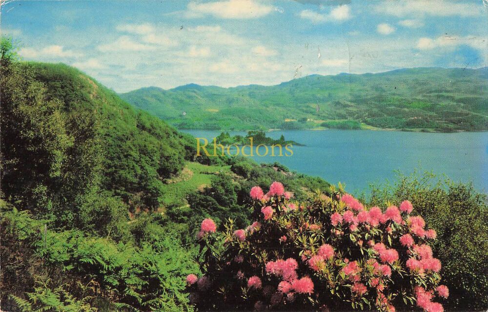 Scotland Postcard-The Kyles of Bute, Argyll & Bute-Colour Photo PC
