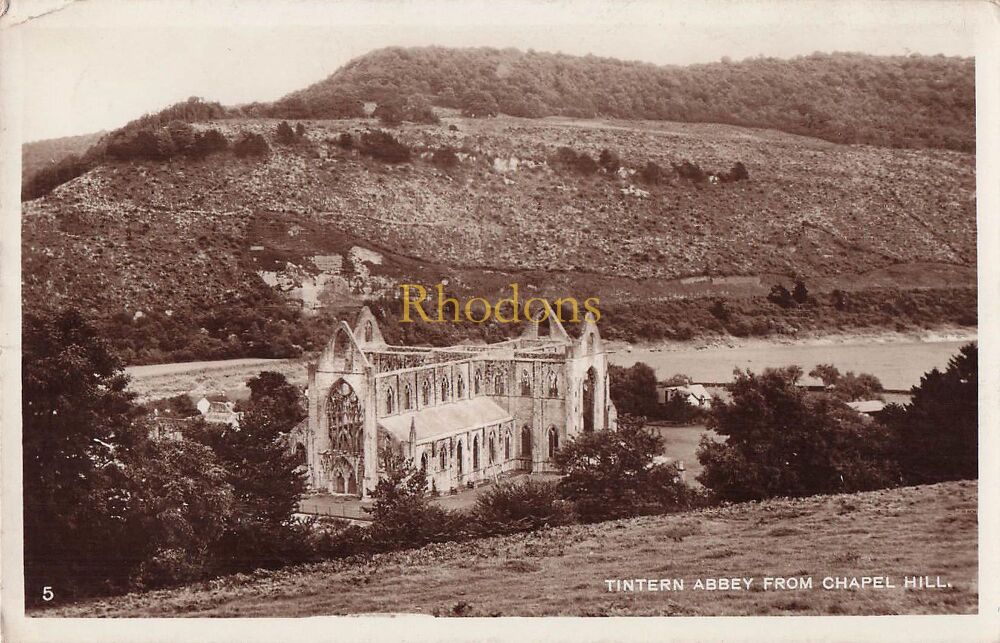 Wales Postcard-Tintern Abbey From Chapel Hill, Monmouthshire-1930s RPPC