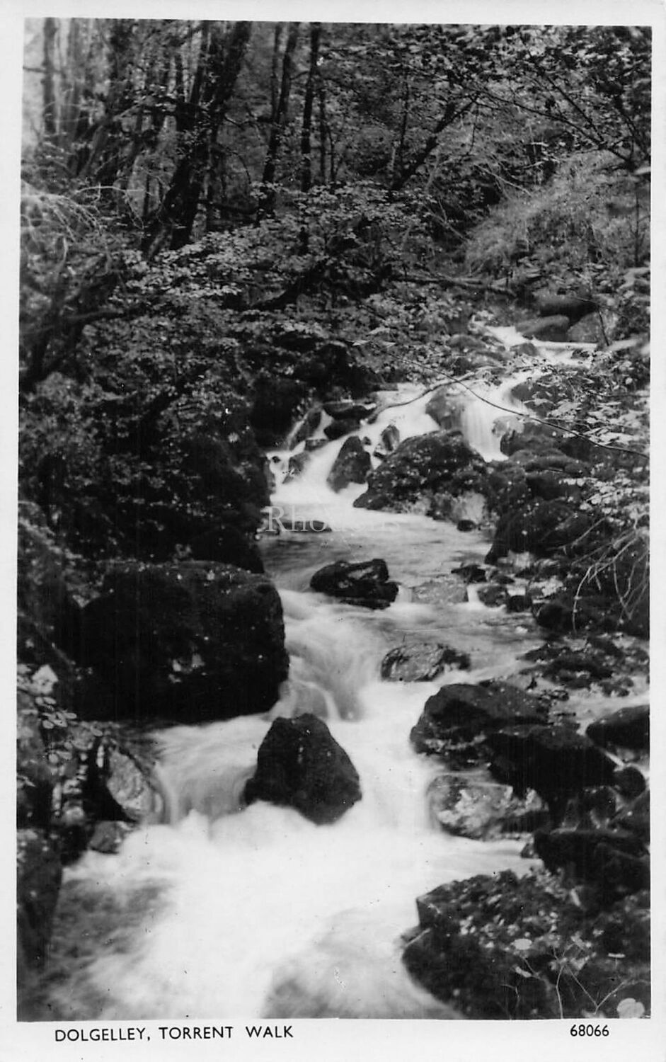 Wales Postcard-Dolgelly, Torrent Walk-Vintage Photochrom Co Ltd Real Photo 