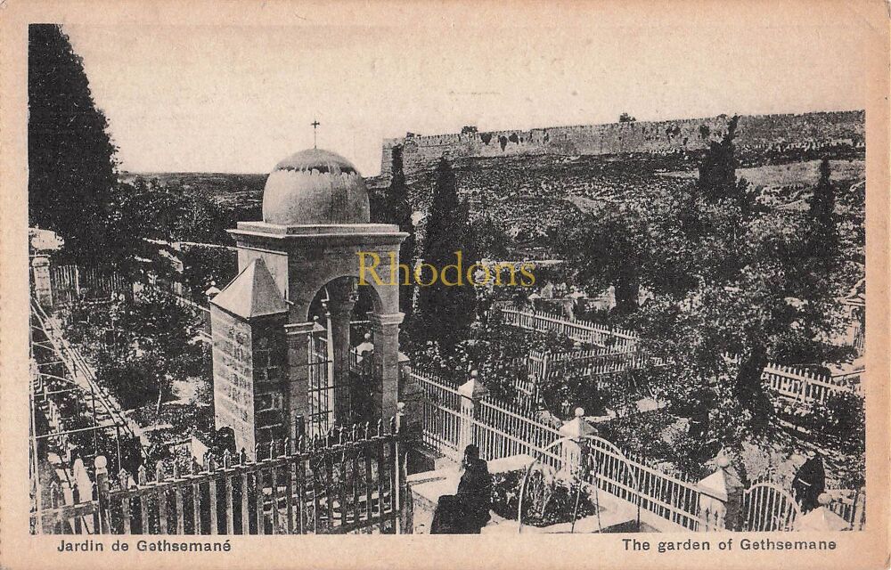 Palestine Postcard-Jerusalem, The Garden of Gethsemane-Early 2oth Century, Pre 1948 PC